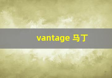 vantage 马丁